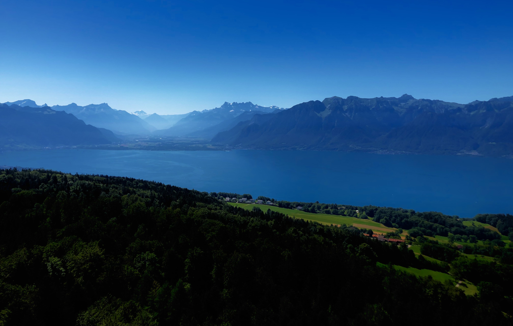 Patrick Willy - Coaching & Accompagnement individualisé
