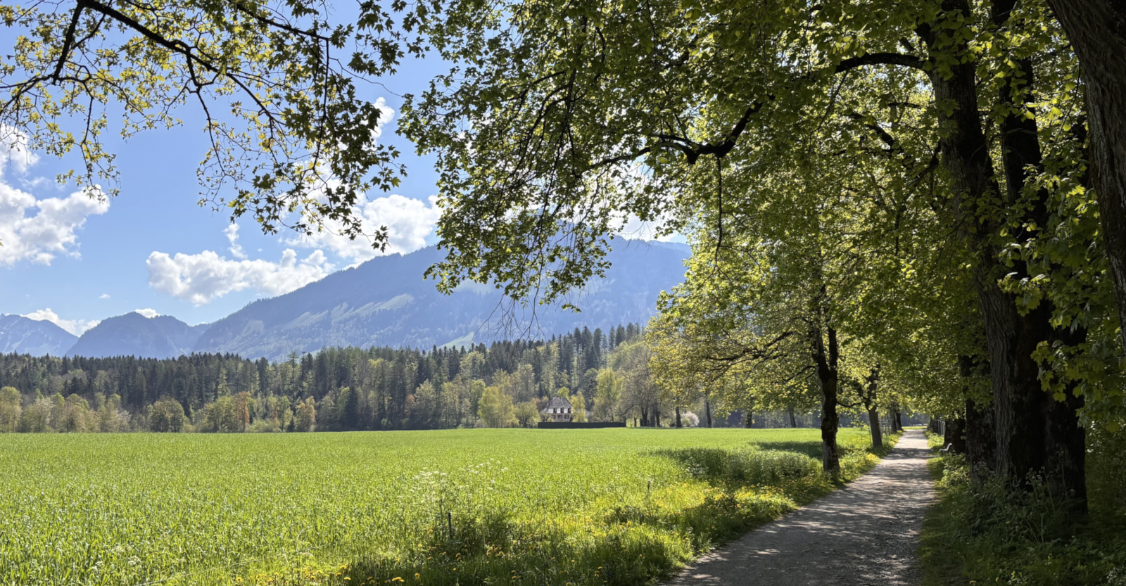 Patrick Willy - Coaching, Accompagnement