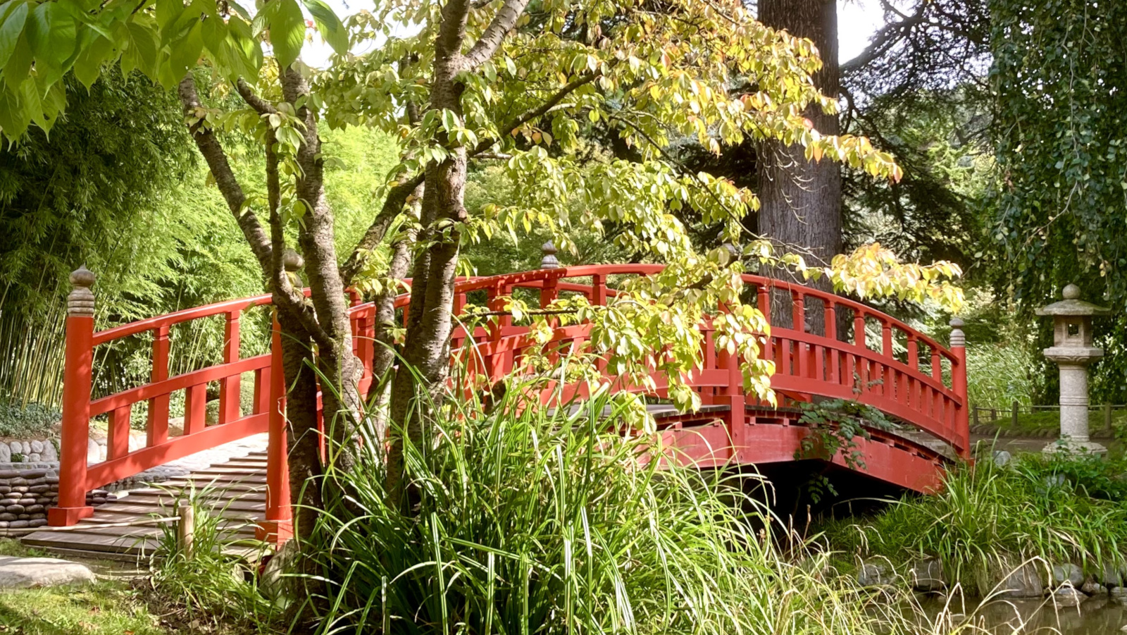 Patrick Willy - Coaching & Accompagnement individualisé